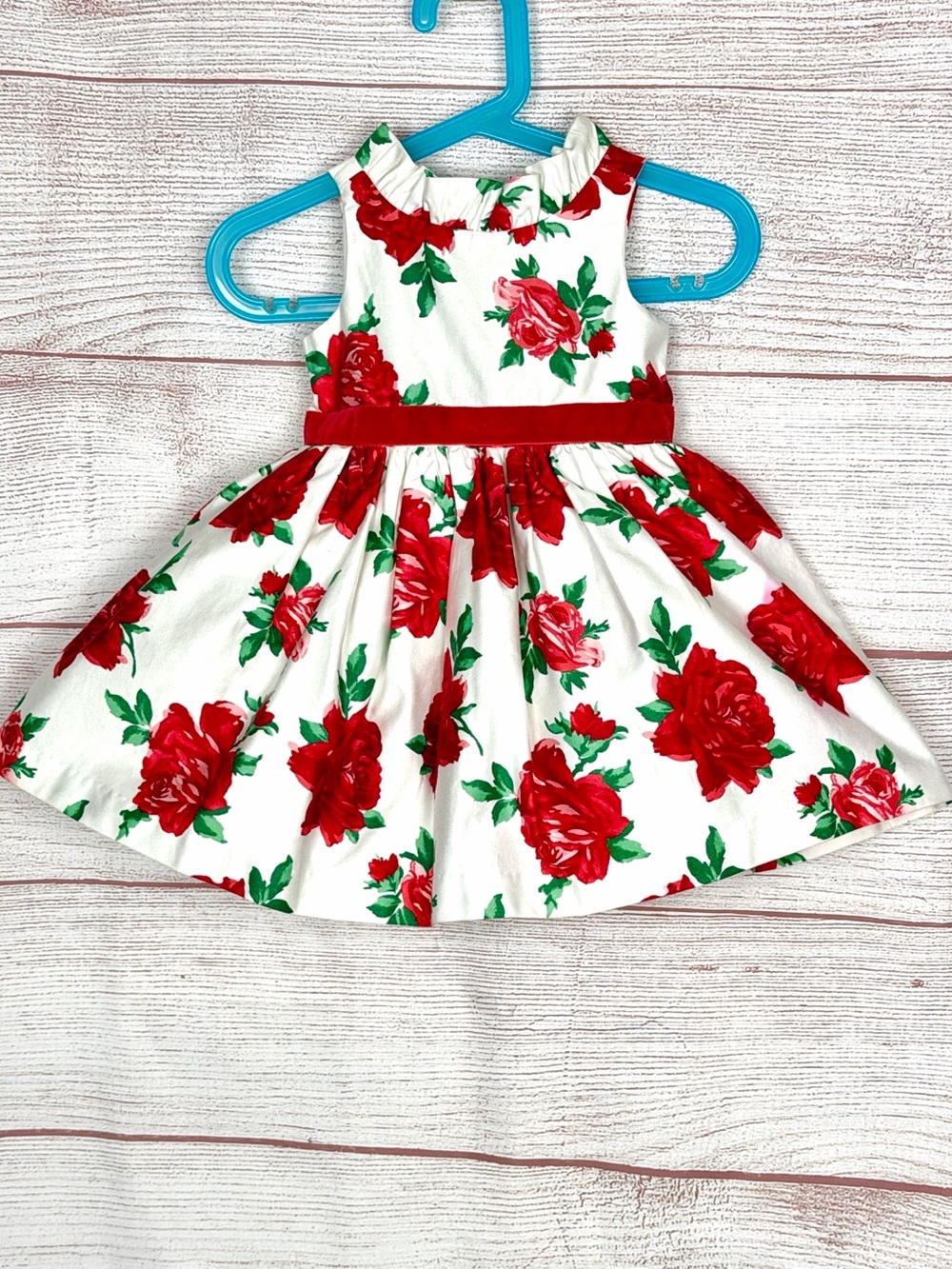 NWT Janie & Jack Baby Girl Party Dress Floral Roses White and Red Cotton 6-12 m